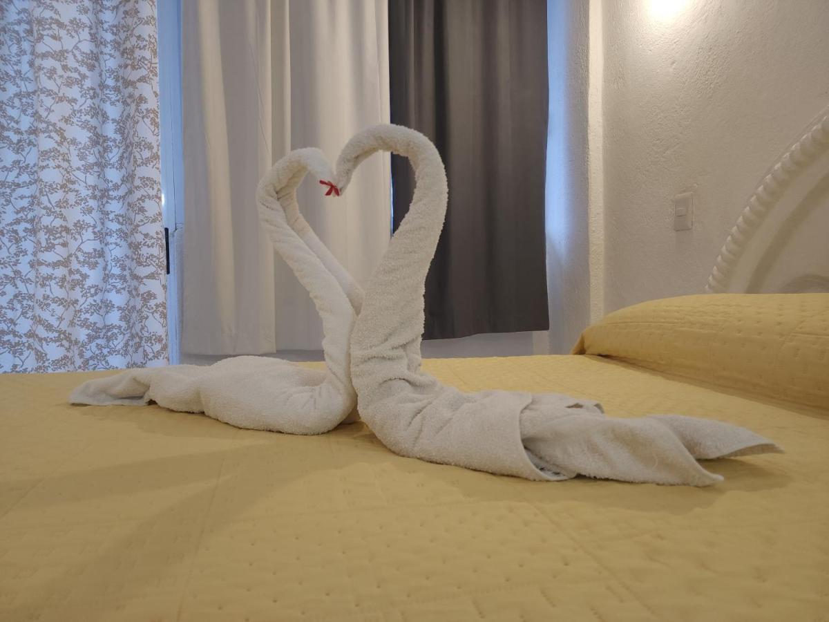 Lovely Studio Apartment With Balcony Ac & Wi-Fi, Minutes From Downtown! Zihuatanejo Luaran gambar